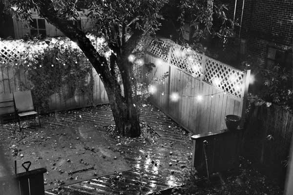 "Backyard at 3:00 AM" Pentax K1000 BW Film