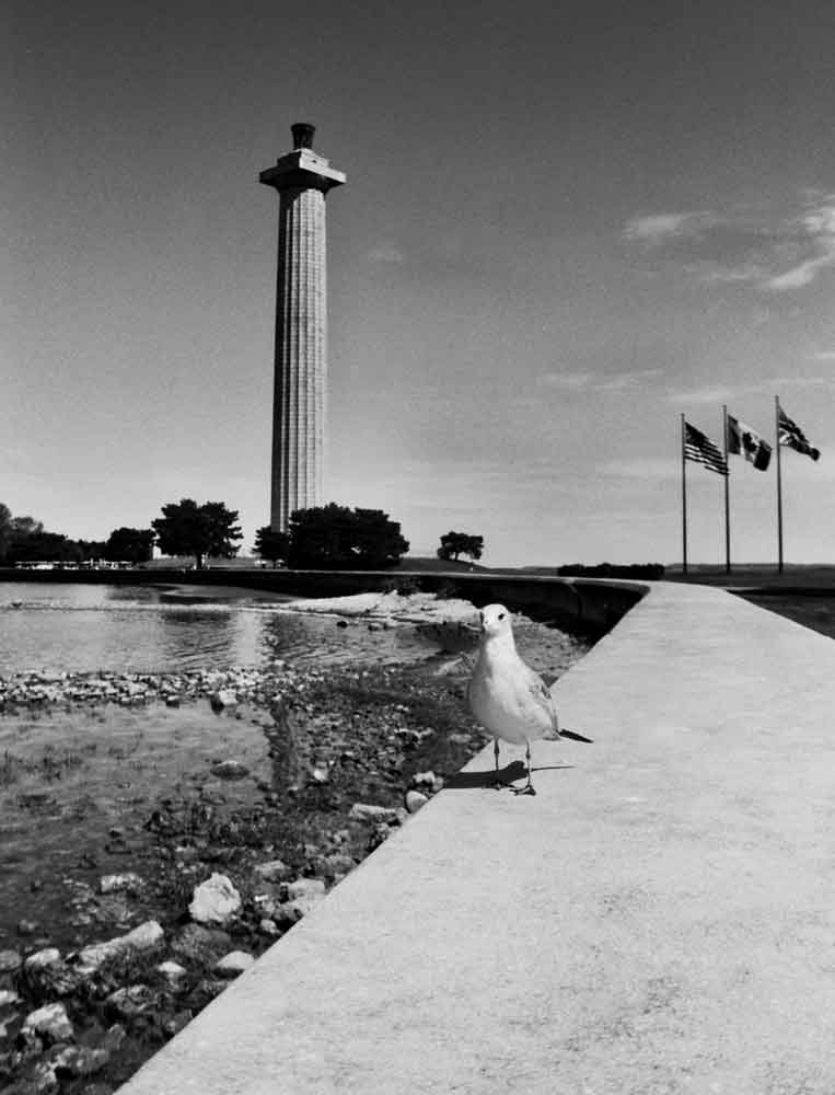 BW Film Photography: Sea Gull at Put-in-Bay